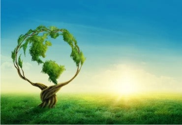 Need earth more green